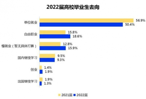 2022大學生就業力調研報告